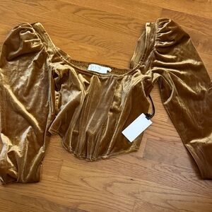Astr Bronze Velvet Corset Puff Sleeve Blouse